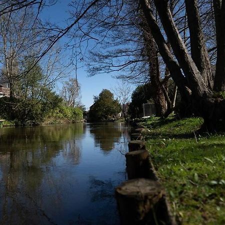 Surrey Hills Escape: Riverside Walks & Quick Links Godalming Kültér fotó